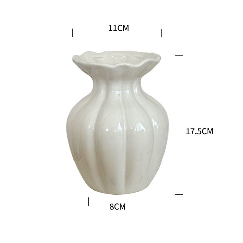 Ceramic Decorative Vase for Hydroponic Flowers