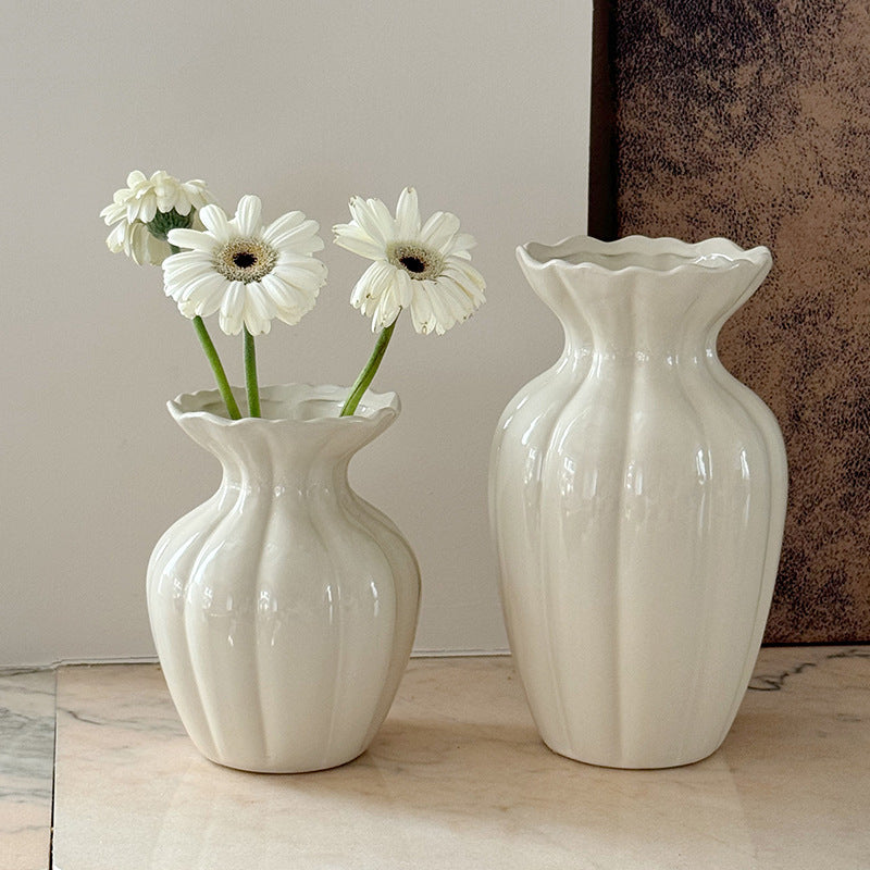 Ceramic Decorative Vase for Hydroponic Flowers