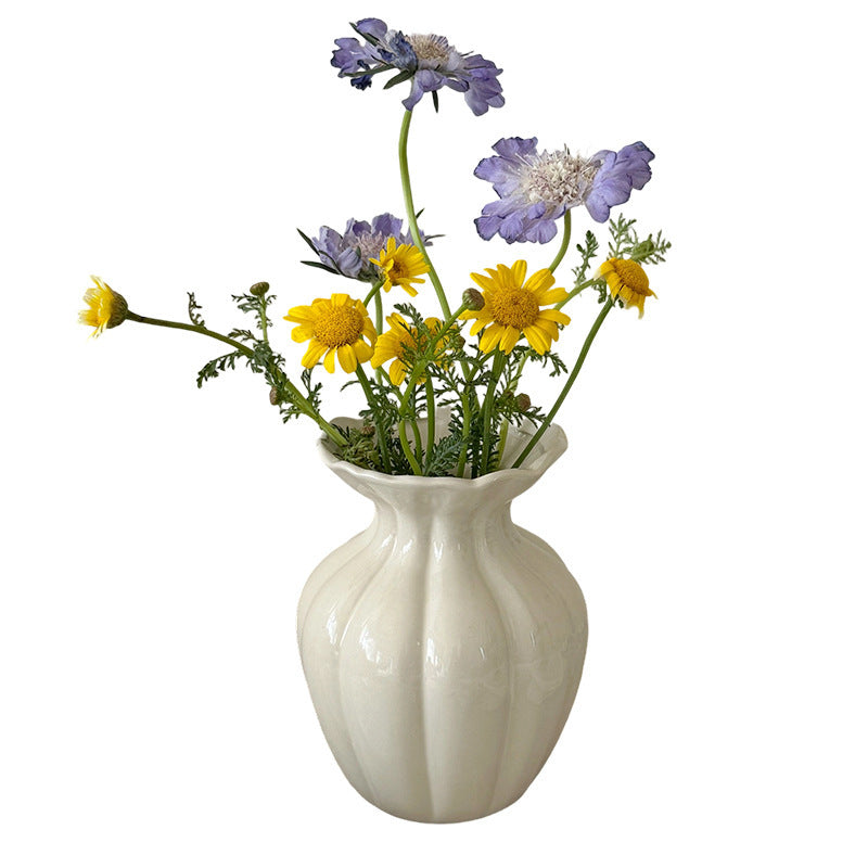 Ceramic Decorative Vase for Hydroponic Flowers
