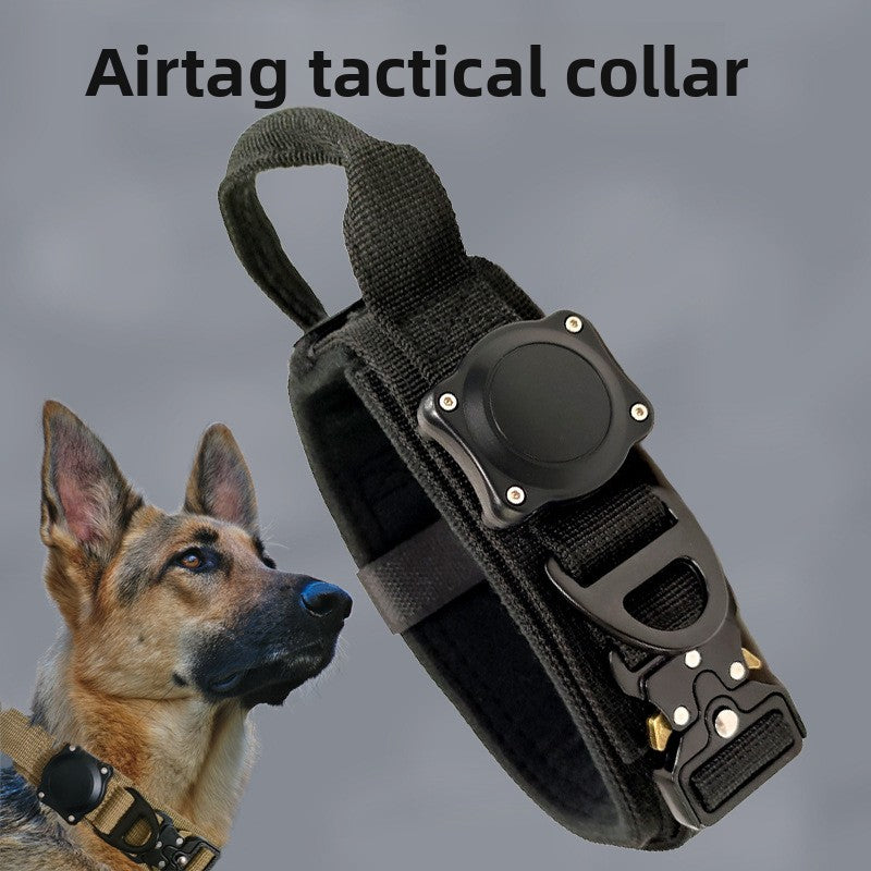 Nylon dog collar